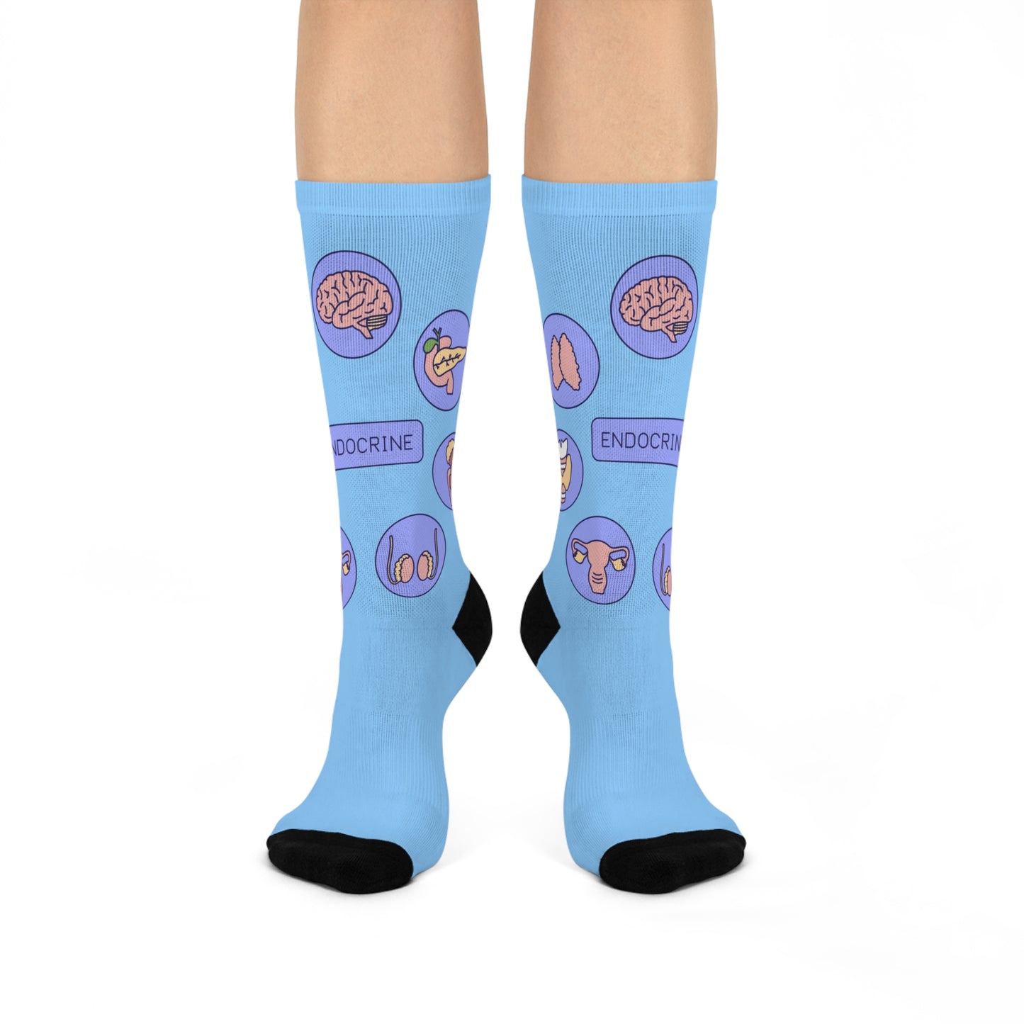 Endocrinology Cushioned Crew Socks